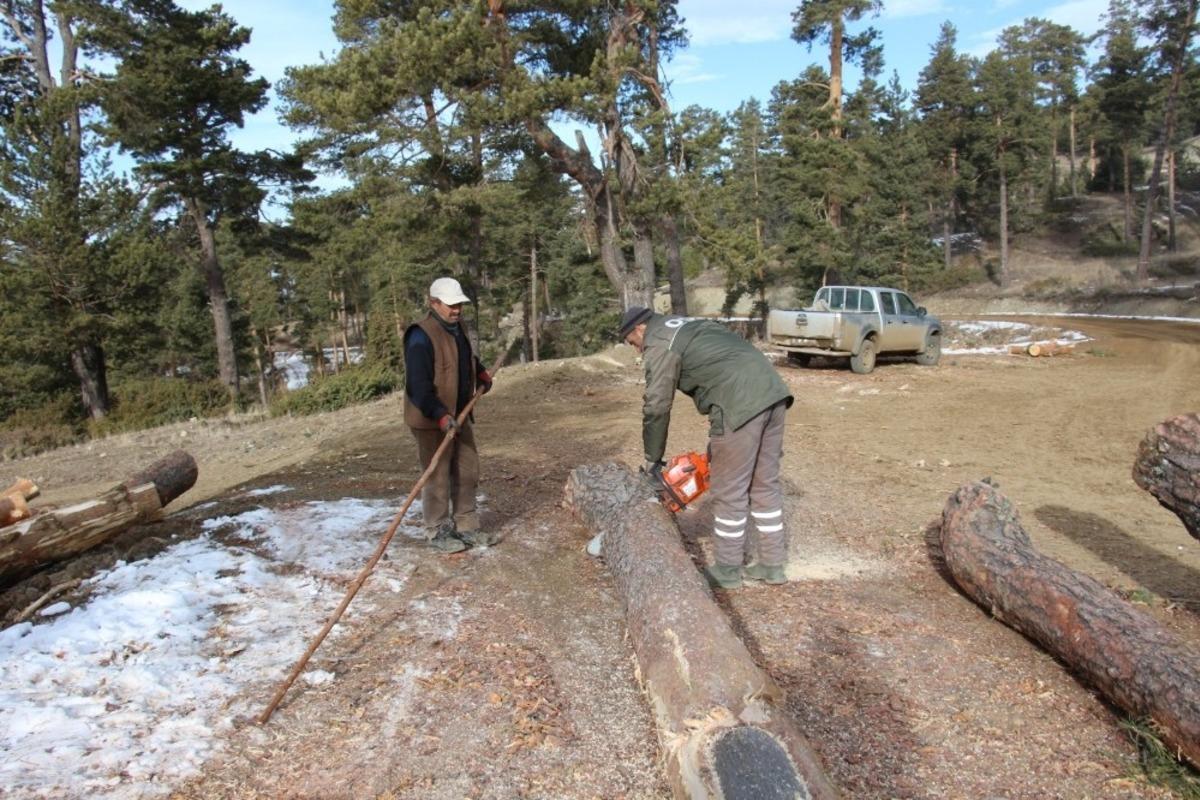 Orman iş&ccedil;ilerinin kış mesaisi