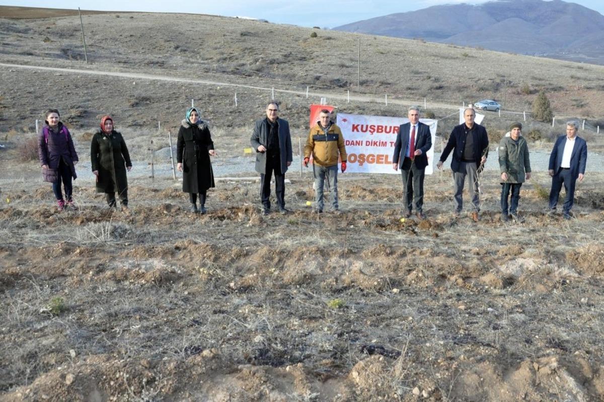 G&uuml;m&uuml;şhane&rsquo;nin ilk kapama kuşburnu bah&ccedil;esi Kelkit&rsquo;e kuruldu