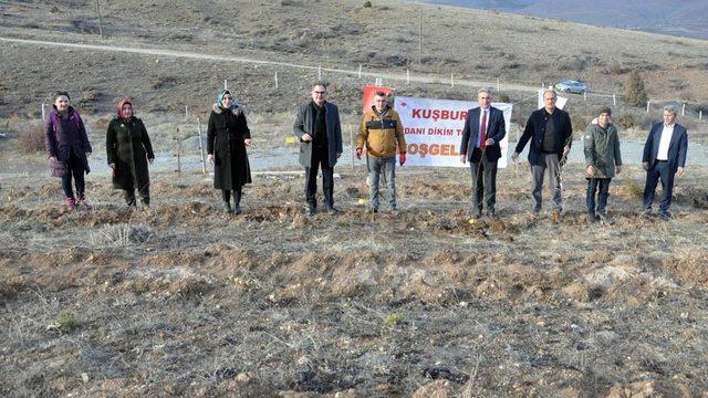 Gümüşhane’nin ilk kapama kuşburnu bahçesi Kelkit’e kuruldu