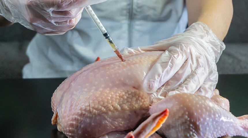 Başkan Cemil Şahin: İnsanların sağlıklı beslenmesine engel oluyorlar