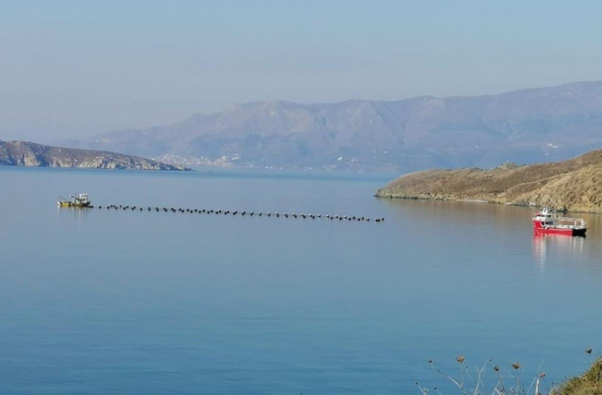 Erdekli Muhtarlar midye &ccedil;iftliği istemiyor