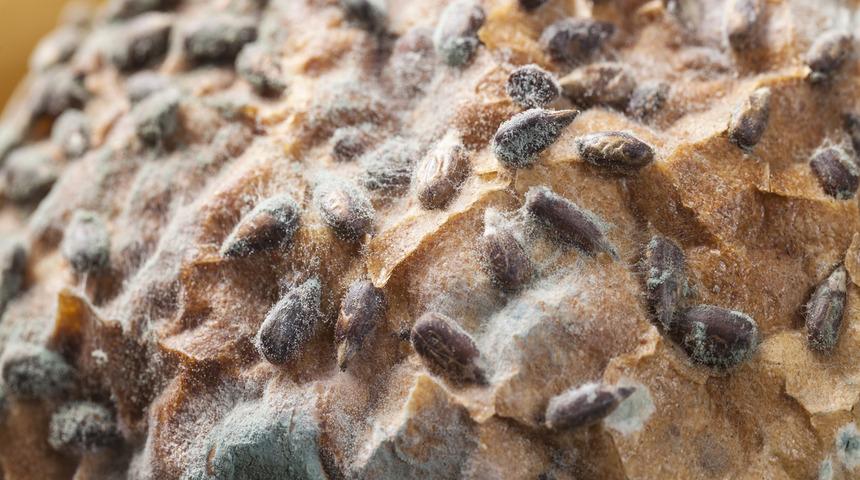 Bayat ekmekli tarifler: İsrafın &ouml;n&uuml;ne ge&ccedil;ecek 6 leziz tarif