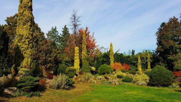 Karaca Arboretum kapanıyor mu G2