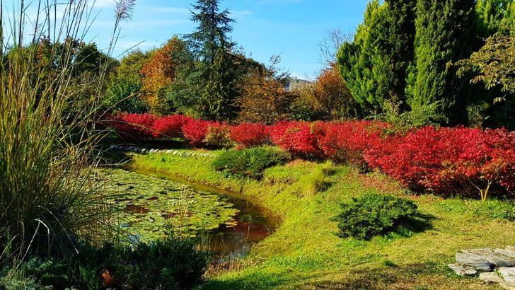 Karaca Arboretum kapanıyor mu G3