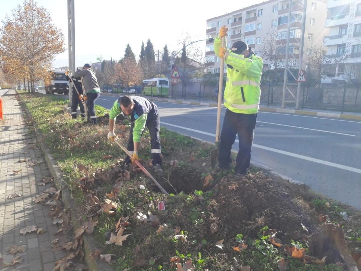 Kocaeli&rsquo;de yol kenarlarındaki boş alanlar ağa&ccedil;landırılıyor