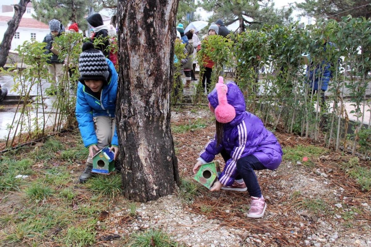 Minik ellerden kuşlara sıcak yuva