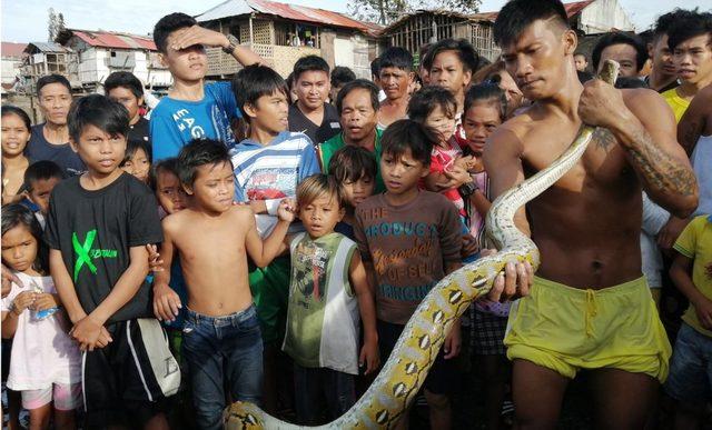 Ormoc kenti sakinleri, fırtına nedeniyle yerinden olan bir piton yakaladı.