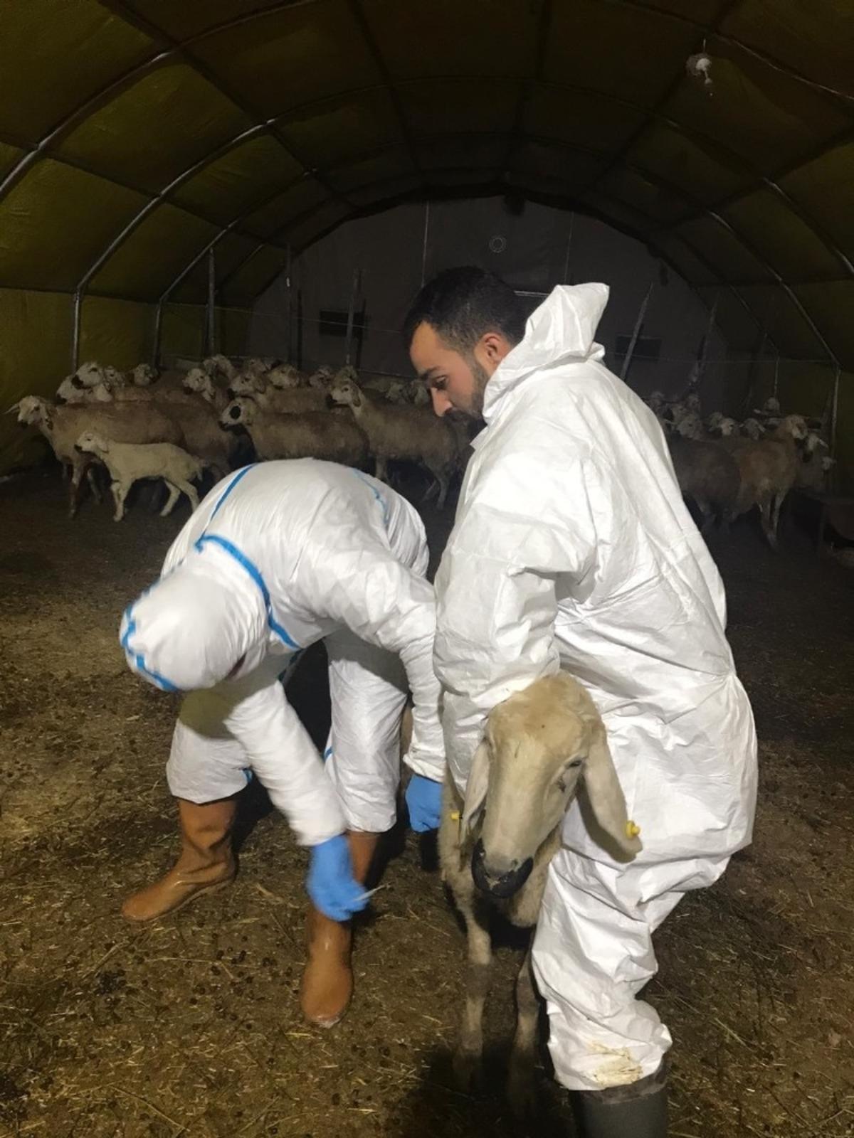 Mucur İl&ccedil;e Tarım M&uuml;d&uuml;r&uuml; İbrahim Y&uuml;cekaya: