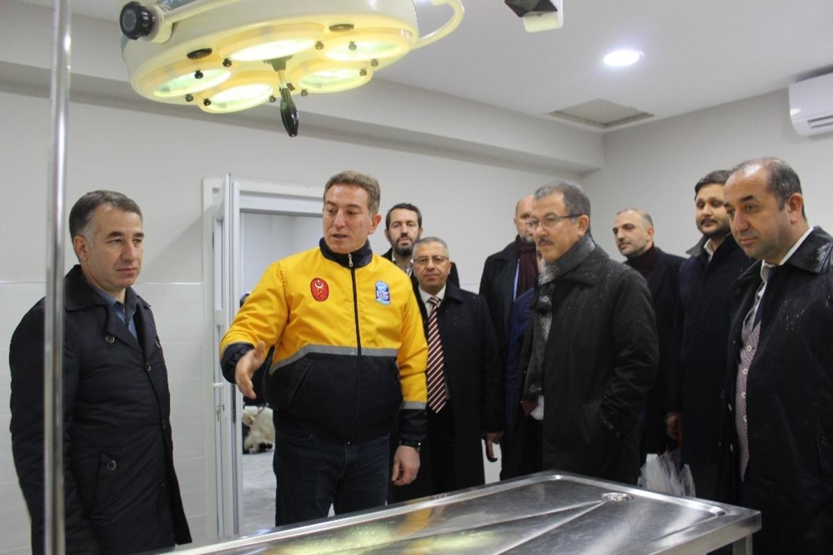 Kemerburgaz Sokak Hayvanları Rehabilitasyon &Uuml;nitesi a&ccedil;ıldı