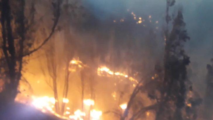 Şili’de yanan ev sayısı 245'e yükseldi! G3