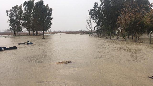 Ceyhan’da bazı köyler ekili alanlar sular altında