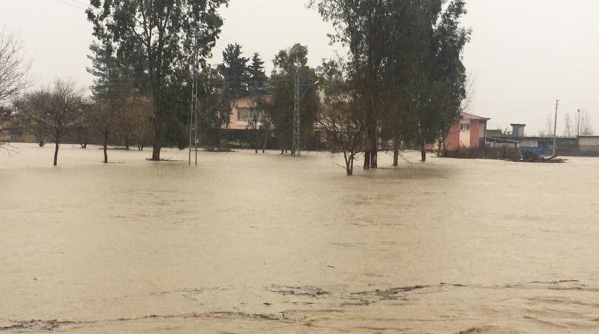 Ceyhan&rsquo;da bazı k&ouml;yler ekili alanlar sular altında