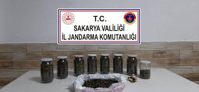 Sakarya’da uyuşturucu operasyonu: 1 tutuklama