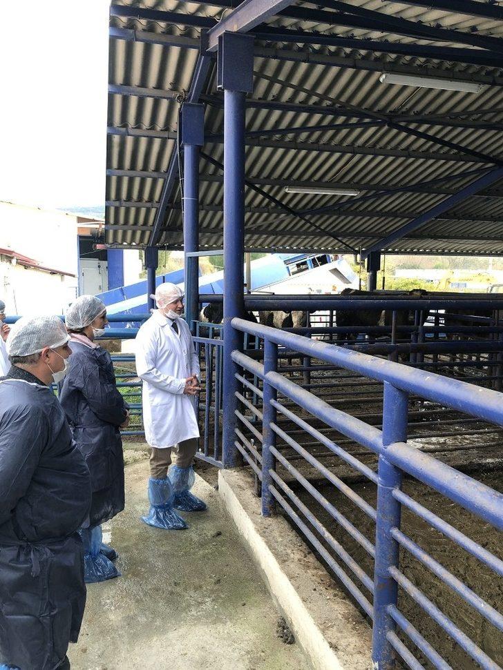 Büyükşehir Mezbahaları Kaliteli Hizmetle Sertifikalarını Yeniledi G3