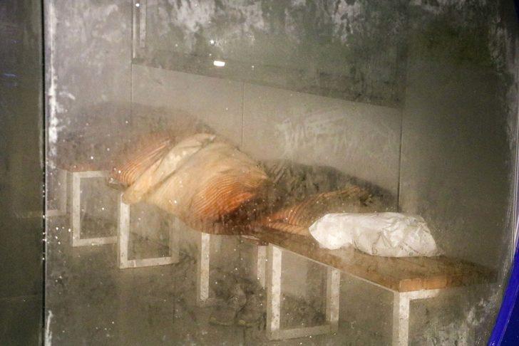 Antalya'da klimalı duraklar evsizlere ev oldu G5