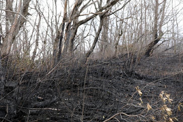 Karadeniz'de alevler söndü, bilanço ortaya çıktı G1