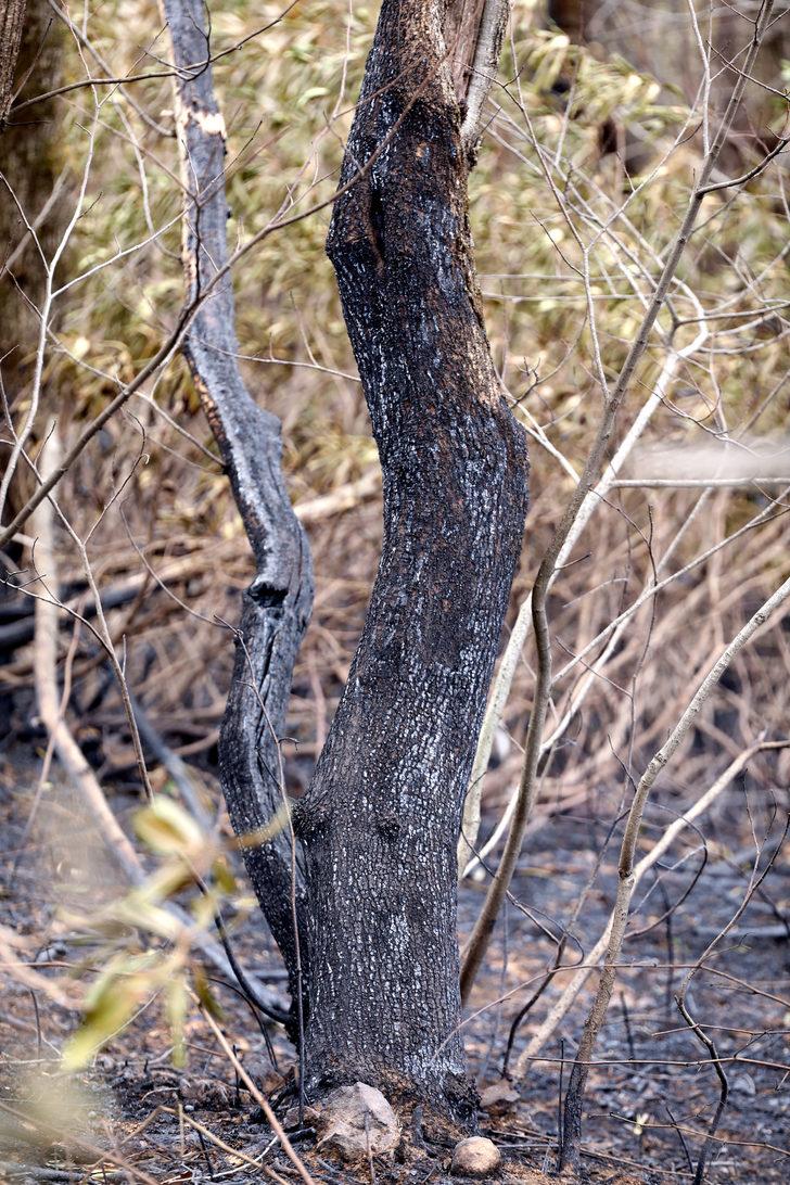Karadeniz'de alevler söndü, bilanço ortaya çıktı G2