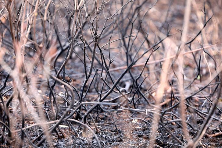 Karadeniz'de alevler söndü, bilanço ortaya çıktı G5