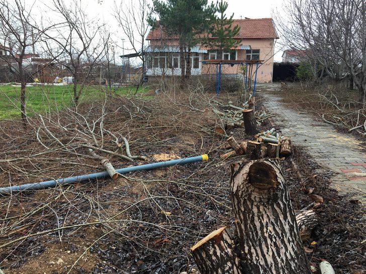 Konya'da akılalmaz olay! Tayini çıkan imam, cami bahçesindeki ağaçları kesti G5