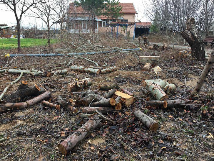 Konya'da akılalmaz olay! Tayini çıkan imam, cami bahçesindeki ağaçları kesti G4
