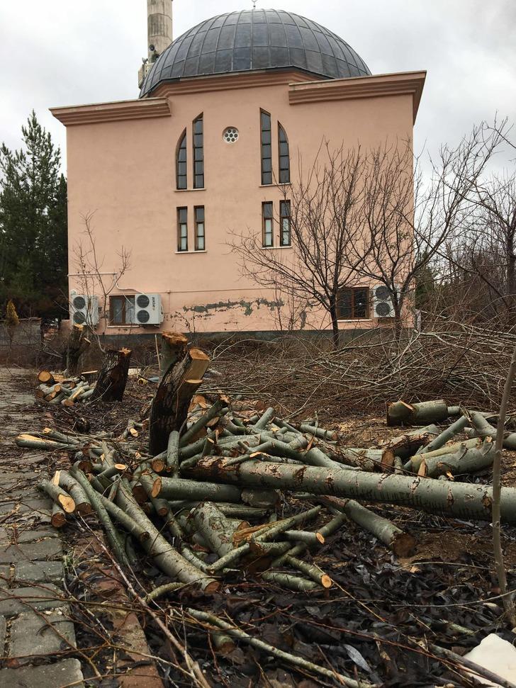 Konya'da akılalmaz olay! Tayini çıkan imam, cami bahçesindeki ağaçları kesti G3