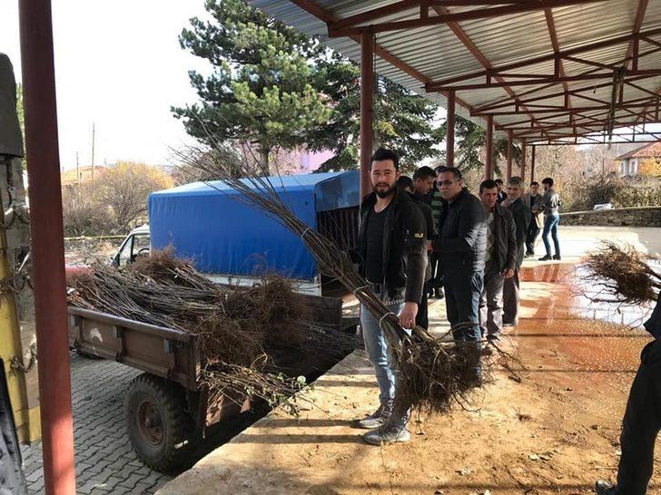 Kütahya İl Özel İdaresi’nden ayva fidanı desteği G1