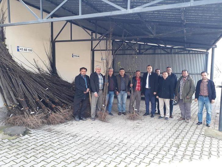 Kütahya İl Özel İdaresi’nden ayva fidanı desteği G2