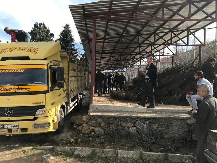 Kütahya İl Özel İdaresi’nden ayva fidanı desteği G3