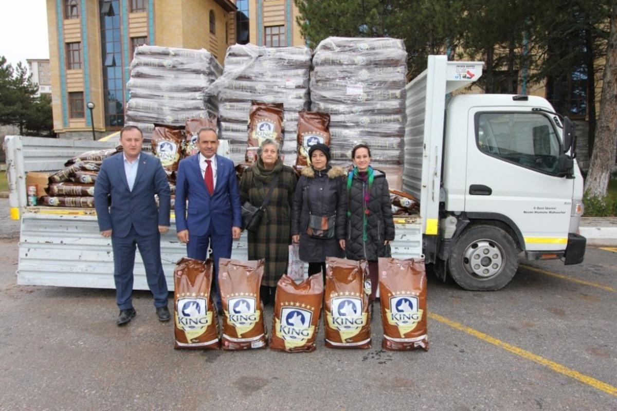K&uuml;tahya İl &Ouml;zel İdaresi sokak hayvanlarını unutmadı