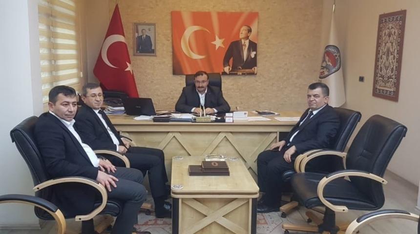 Sokak hayvanları i&ccedil;in yaşam alanı