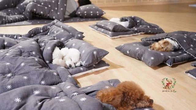 Bu gördükleriniz oyuncak değil!