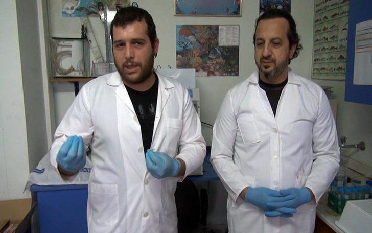 Balon balığından elde ettiler! Çığır açacak buluş G4