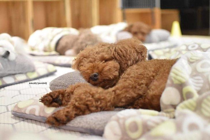 Bu gördükleriniz oyuncak değil! G2