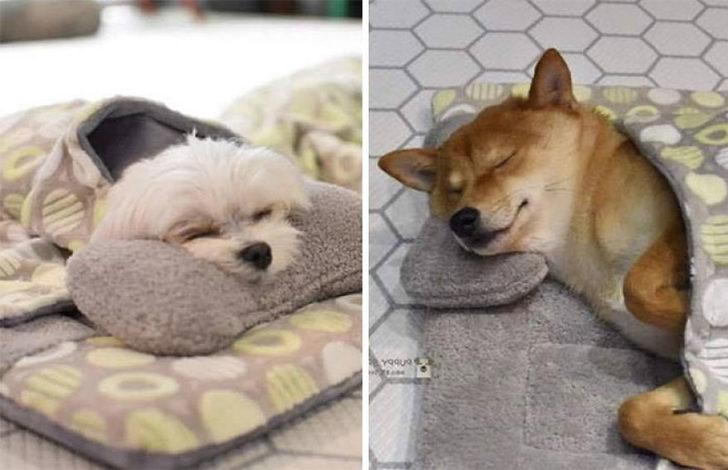 Bu gördükleriniz oyuncak değil! G5