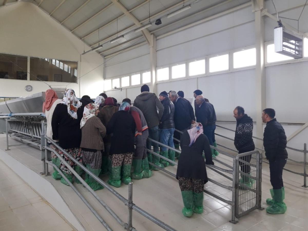 Demirci&rsquo;de s&uuml;r&uuml; y&ouml;netimi elemanı kursuna yoğun ilgi