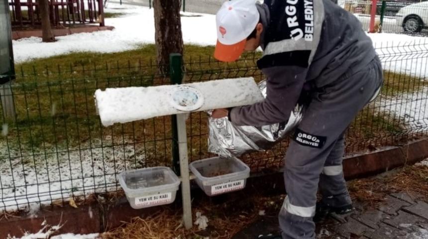 Ürgüp Belediyesi Sokak hayvanlarını unutmadı