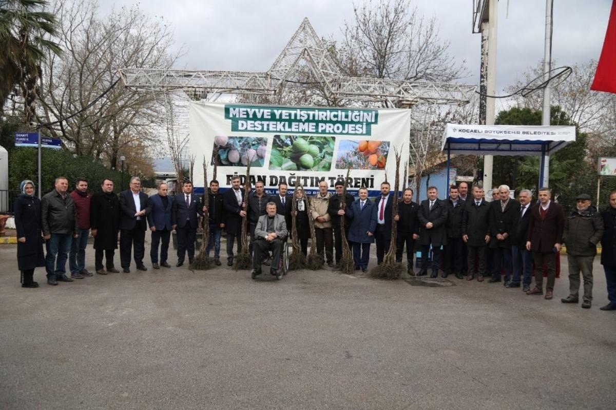 250 &ccedil;ift&ccedil;iye, 20 bin ceviz ve hurma fidanı dağıtıldı