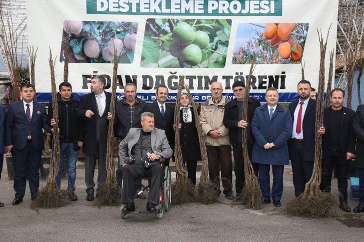 250 çiftçiye, 20 bin ceviz ve hurma fidanı dağıtıldı G2
