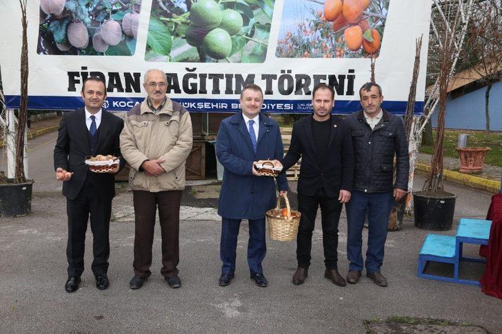 250 çiftçiye, 20 bin ceviz ve hurma fidanı dağıtıldı G3