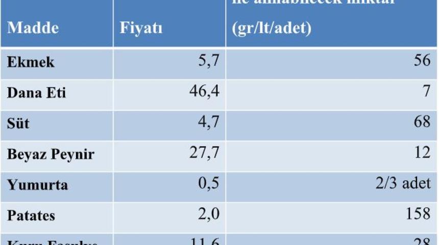 Bisam: Asgari ücret zammından gıdaya günde 3.8 lira ayrılabilecek