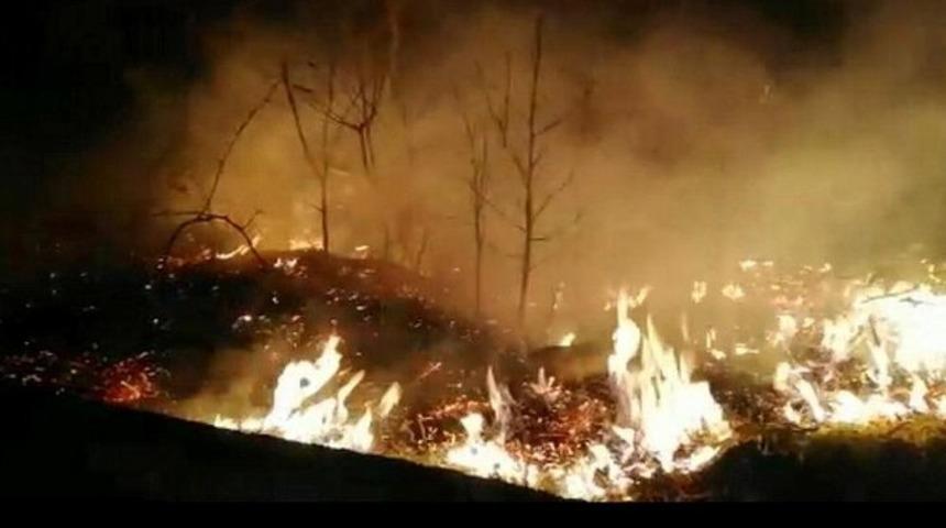 Karadeniz'deki orman yangınlarıyla ilgili flaş açıklama: 20 şahıs hakkında adli işlem yapıldı
