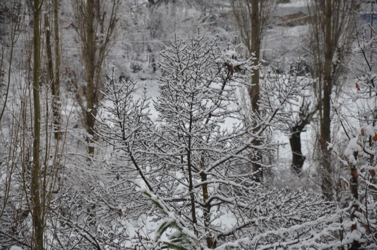 Beyt&uuml;şşebap&rsquo;ta taşımalı eğitimin yapıldığı b&ouml;lgelerde eğitime bir g&uuml;n ara verildi