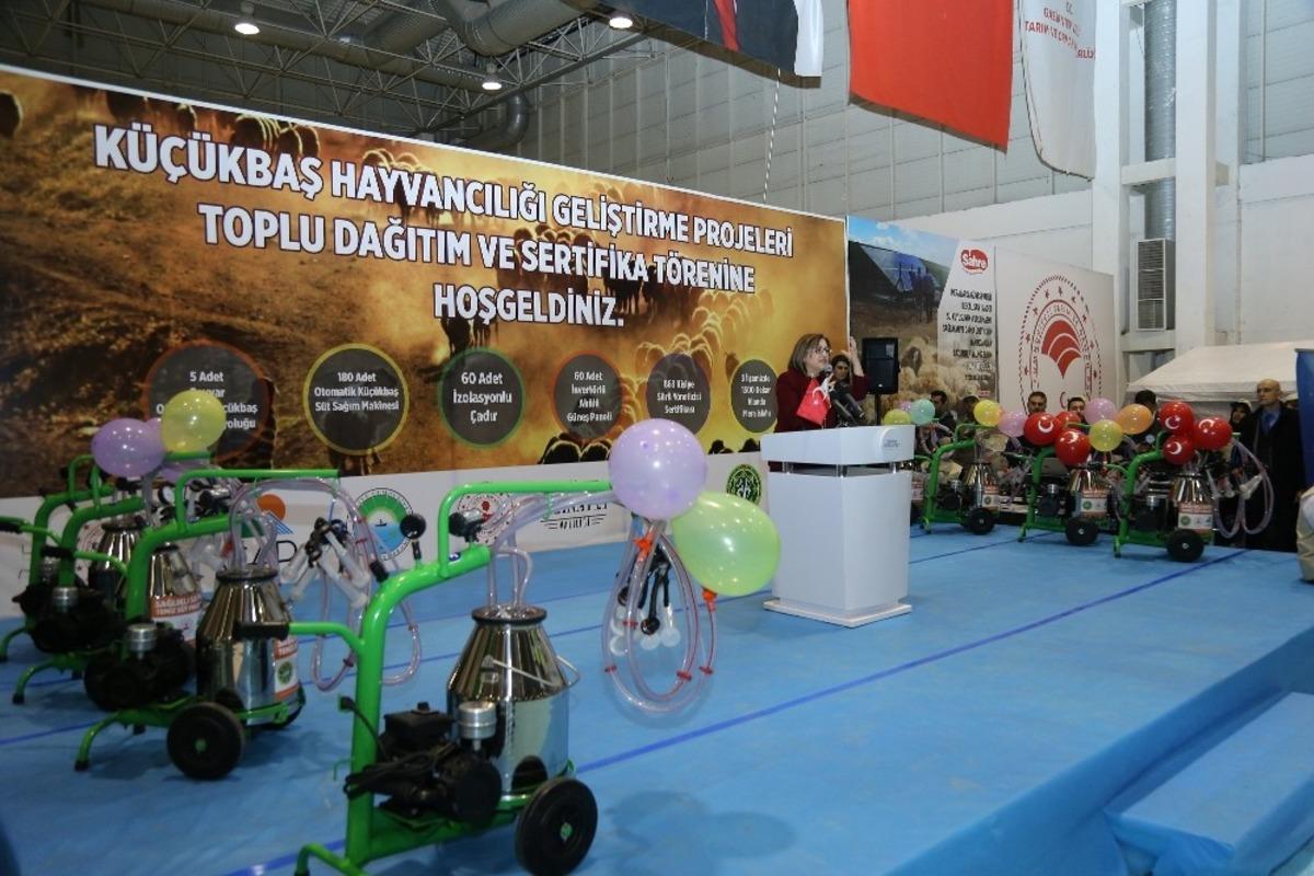 B&uuml;y&uuml;kşehir&rsquo;den &uuml;reticilere destek