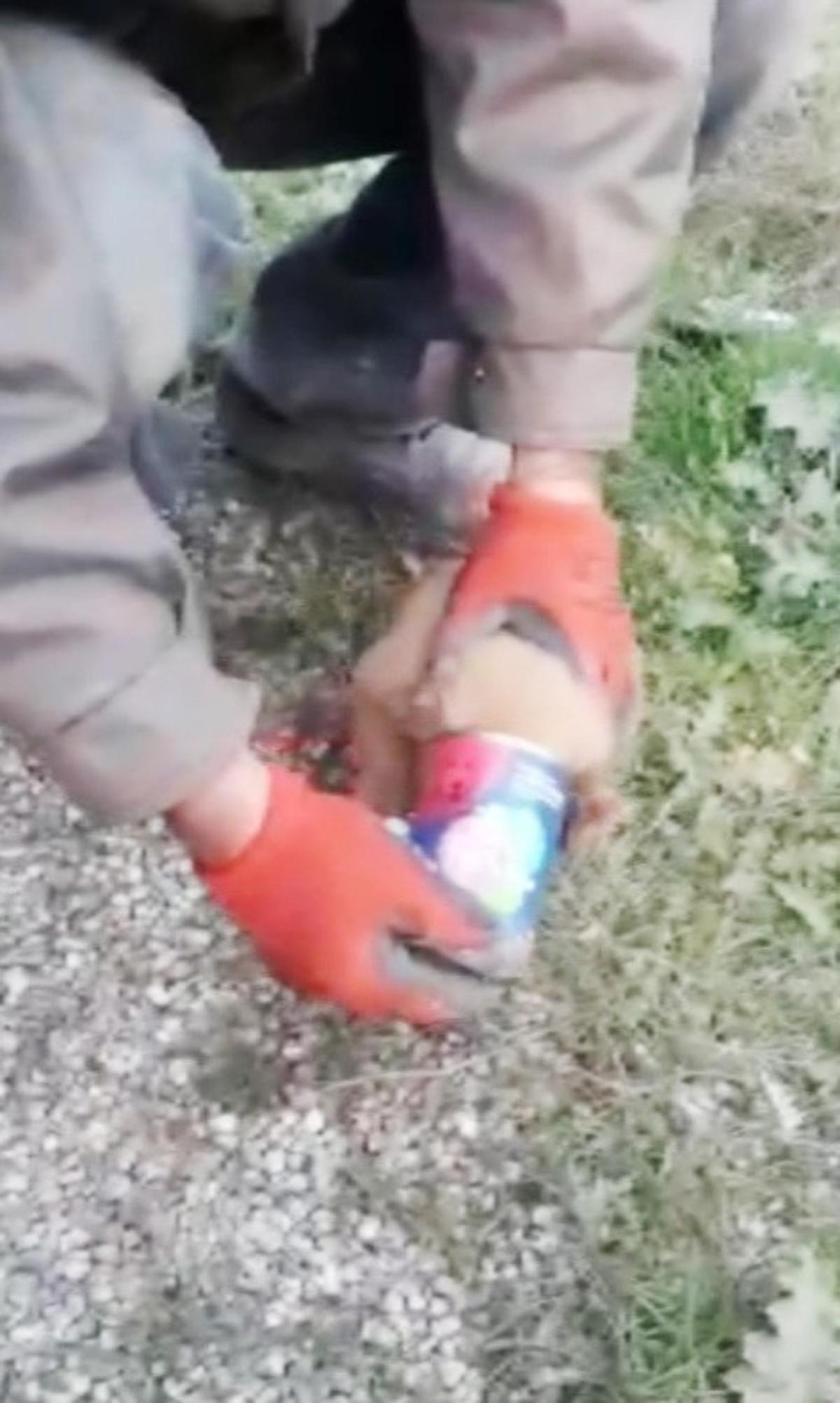 Havlayan k&ouml;peğin peşinden giden s&uuml;r&uuml;c&uuml;ler g&ouml;zlerine inanamadı