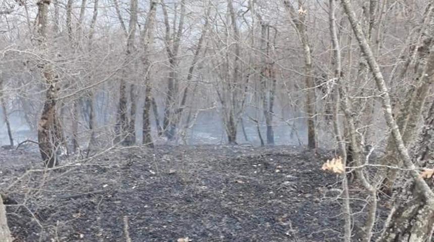 Dikmen&rsquo;de orman yangını