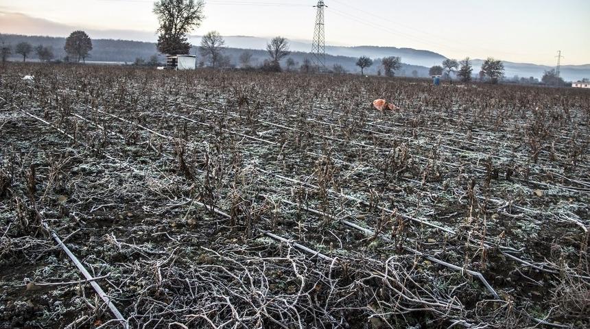 Balıkesir&rsquo;de zirai don uyarısı