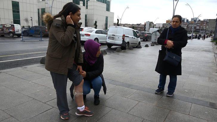 Başıboş köpekler dehşet saçtı... Genç kız canını zor kurtardı: Çok korkunç bir şeydi G2