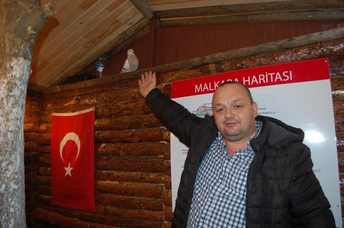 Soğukta a&ccedil; kalan g&uuml;vercin taksi durağına sığındı