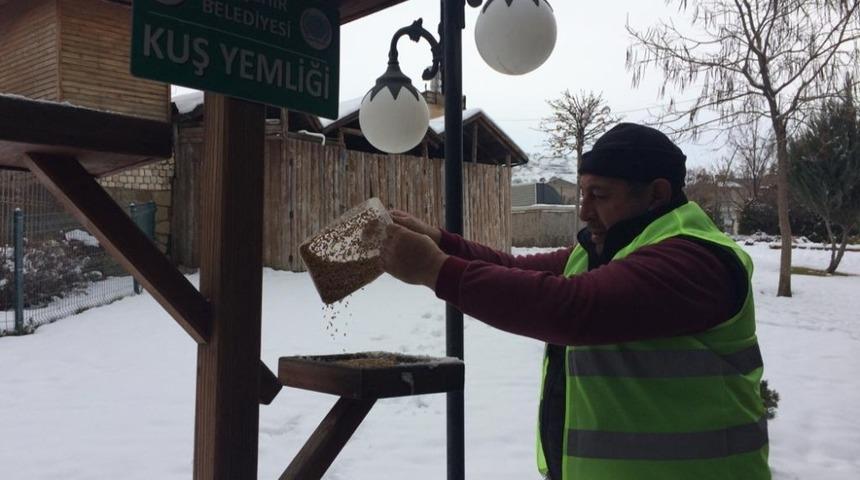 Nevşehir Belediyesi Sokak hayvanlarını unutmadı