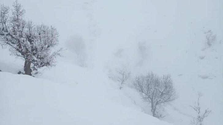 Sason’da kar yağışı ulaşımı olumsuz etkiledi G2